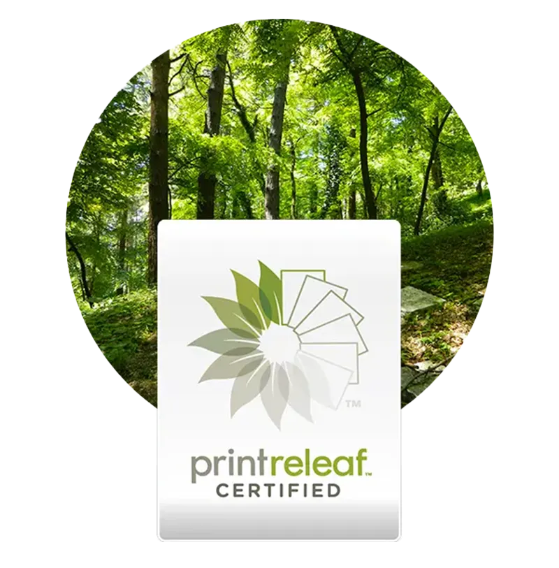 Certificato di recupero